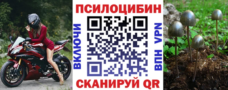 Псилоцибиновые грибы мухоморы  Курганинск 
